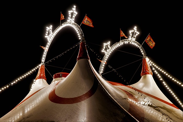 Tenda montagna e foresta